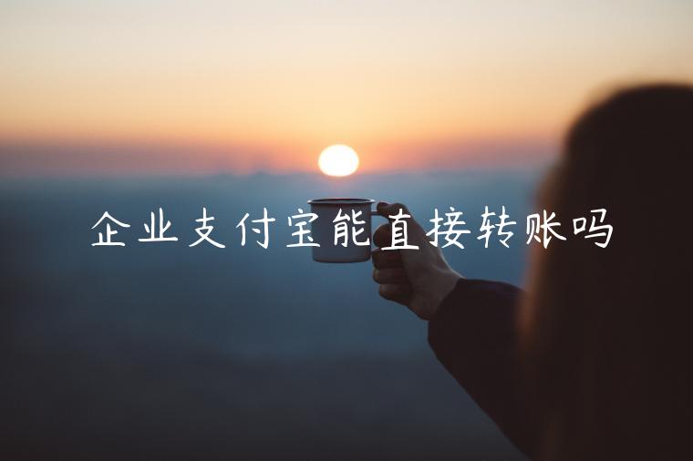 企業(yè)支付寶能直接轉(zhuǎn)賬嗎